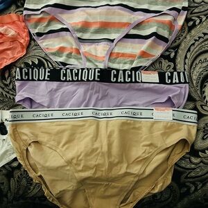 Cacique Black and Cream Cotton Hipster